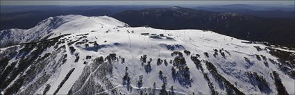 Mt Buller - VIC (PBH4 00 9506)